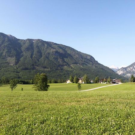 Haus Stangl Daire Bad Aussee Dış mekan fotoğraf