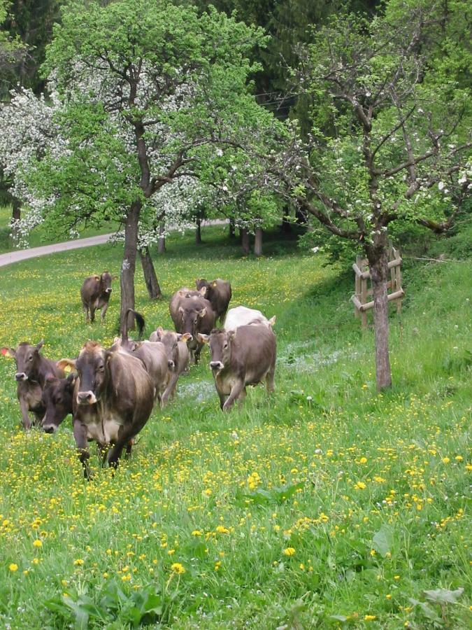 Haus Stangl Daire Bad Aussee Dış mekan fotoğraf